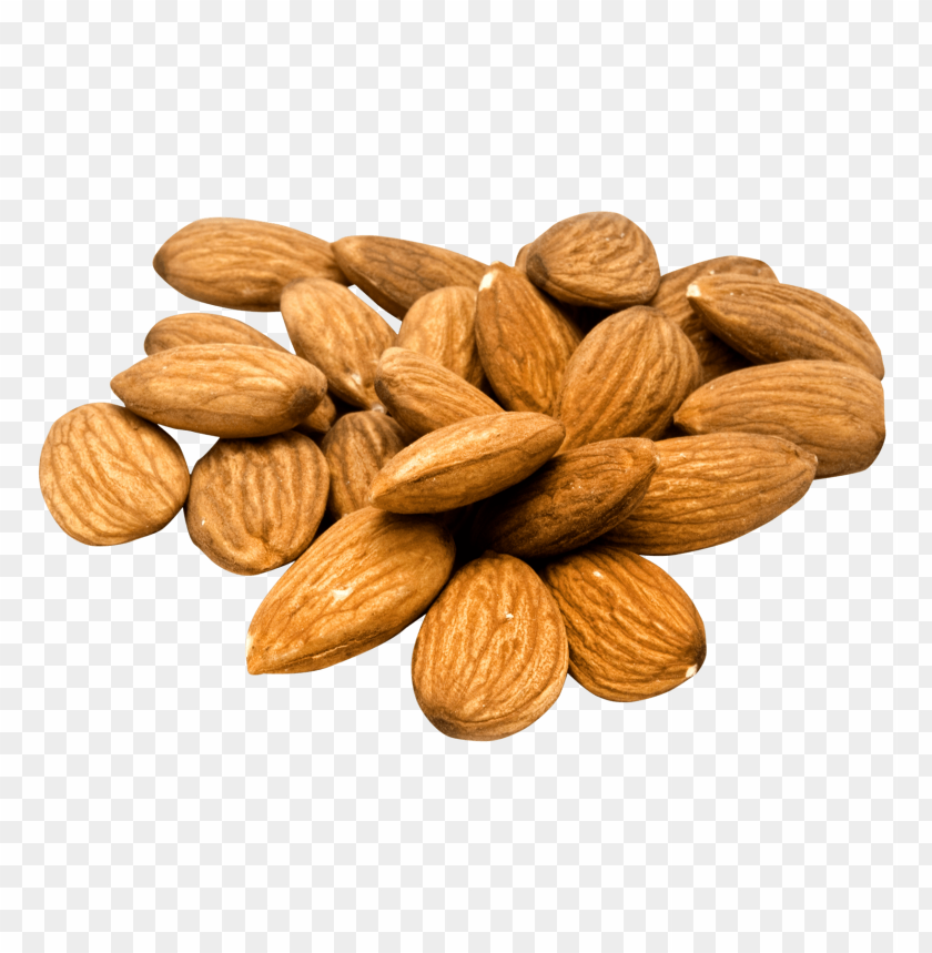 Almond Png - Free PNG Images