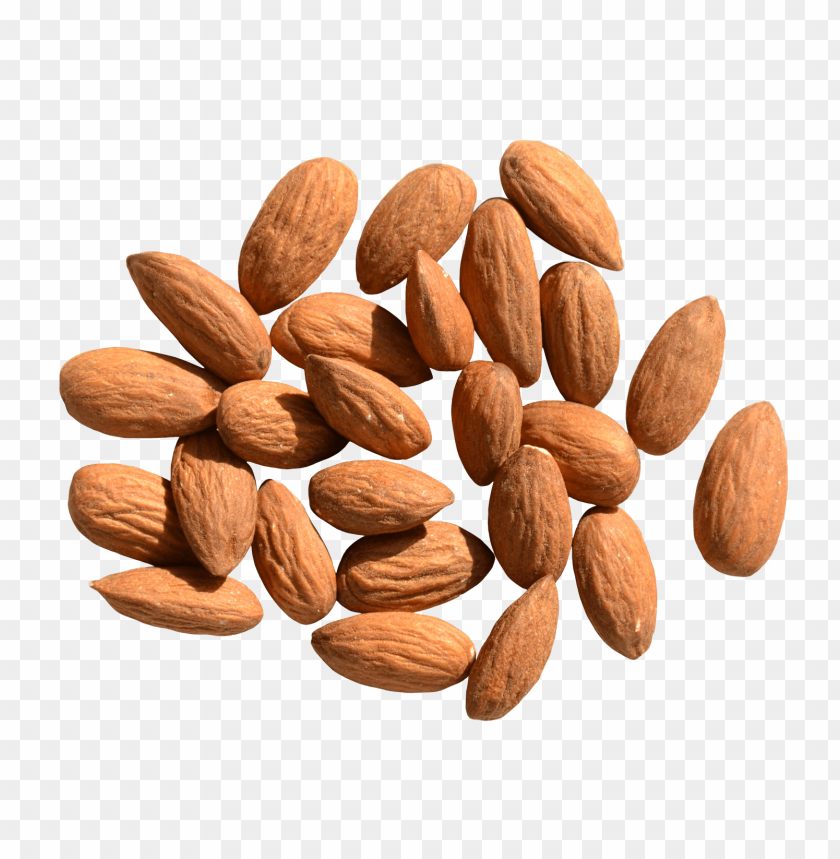 Download Almond Png Images Background