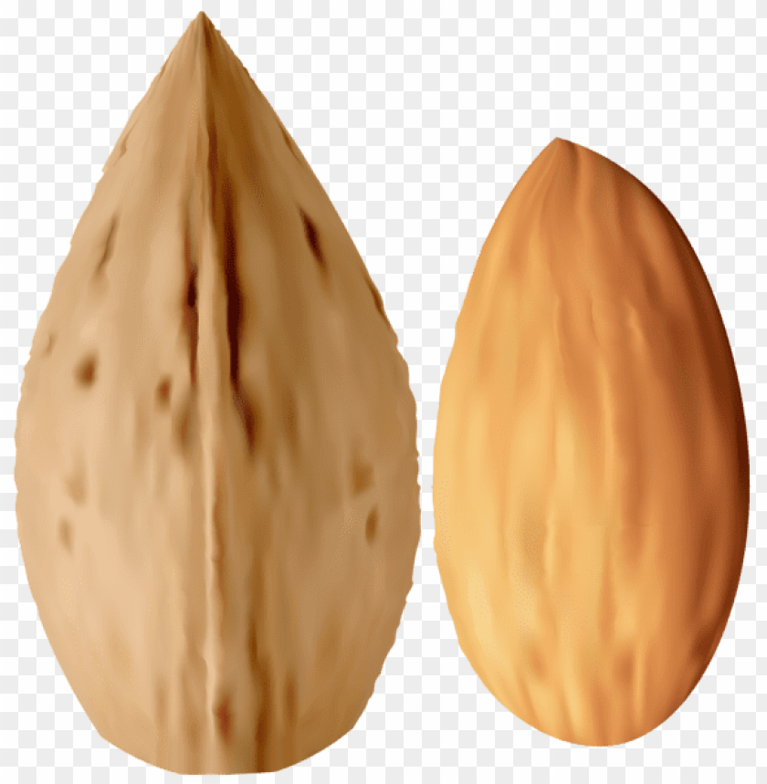 Download Almond Clipart Png Photo  