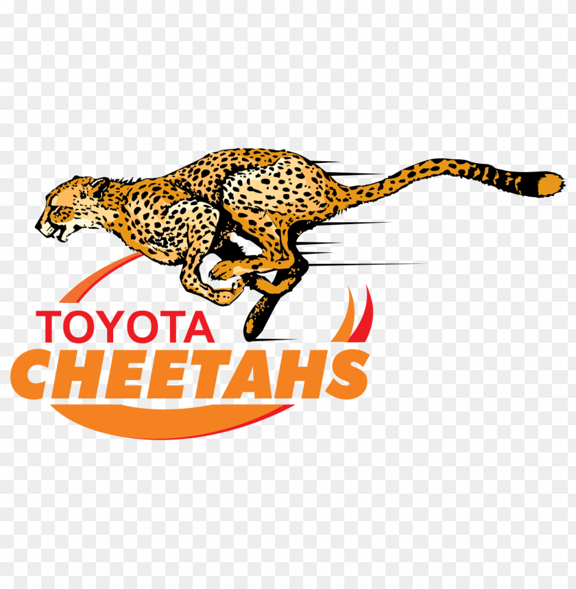Cheetahs Rugby Logo Png Images Background