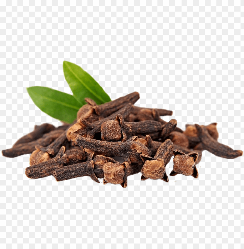 Clove Nature's Truth 100 Pure Essential Oil Clove 0 51 PNG Image With Transparent Background