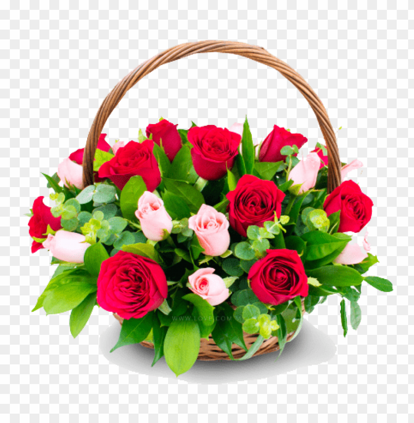 Download Congratulation Flower Transparent Png Images Background