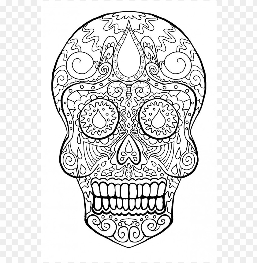 Dia De Los Muertos Skull Coloring Pages Colored PNG Image With Transparent Background
