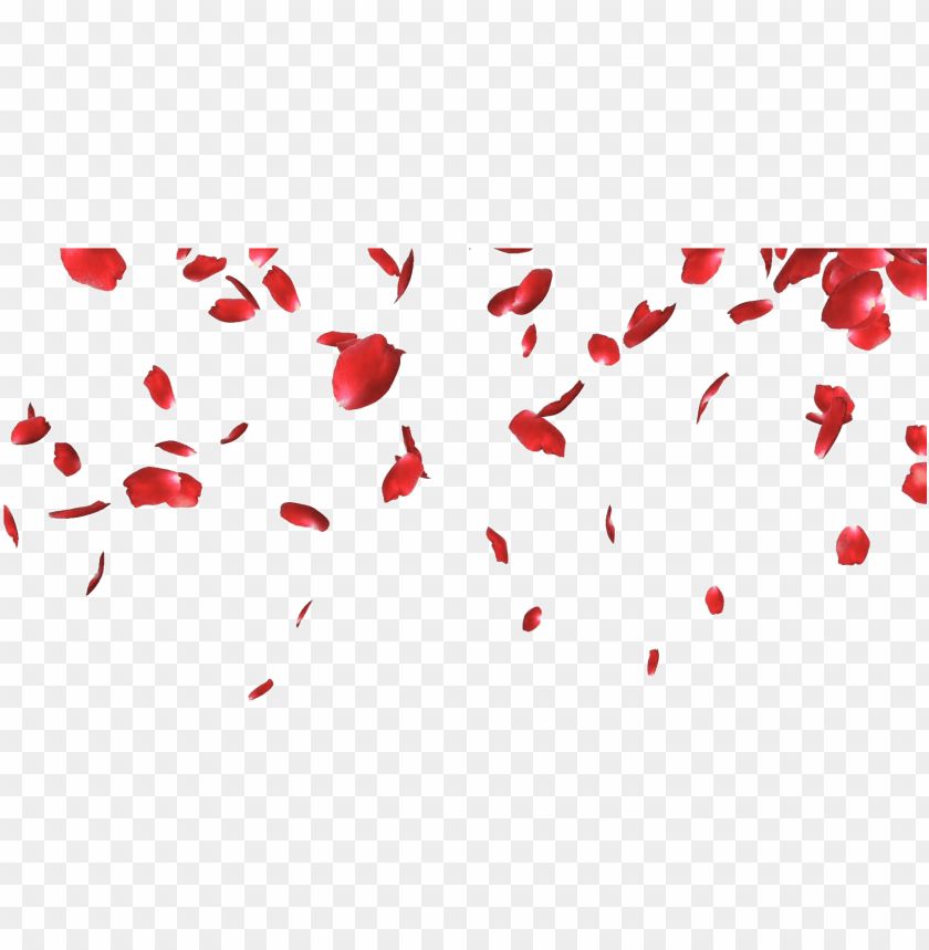 Falling Petals Png Picture Rose Petals Falling PNG Image With Transparent Background