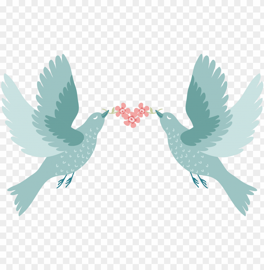 Love Birds For Wedding PNG Image With Transparent Background