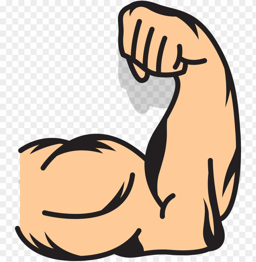 Muscle Arms Muscle Arms Clip Art Strong Arms Clip Art PNG Image With Transparent Background