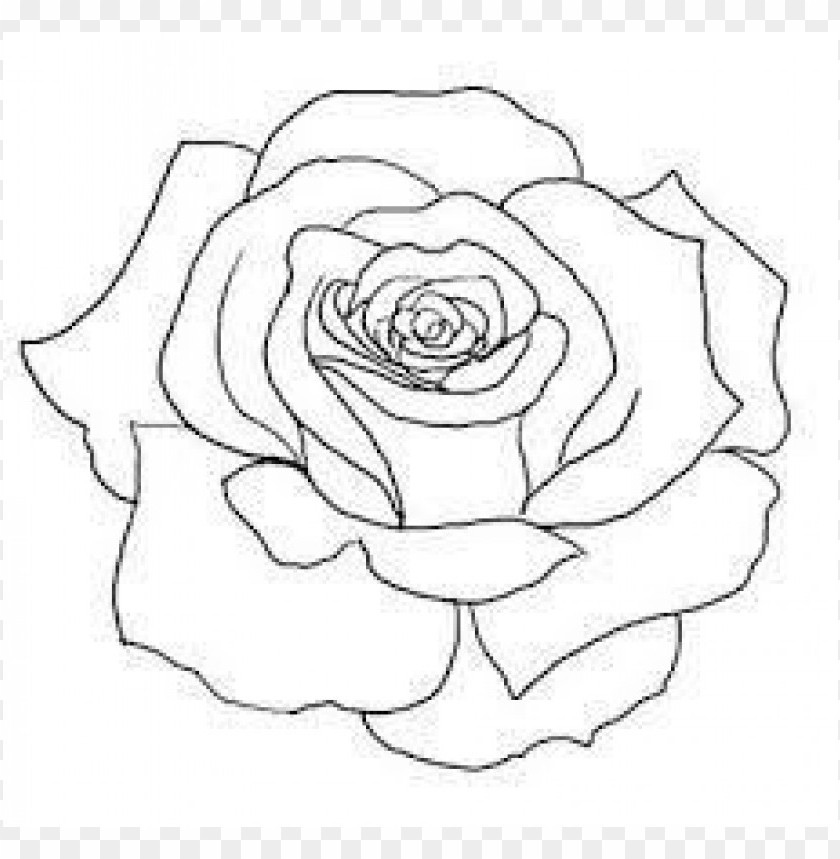 Download Png Rose Outline S Clipart Png Photo  