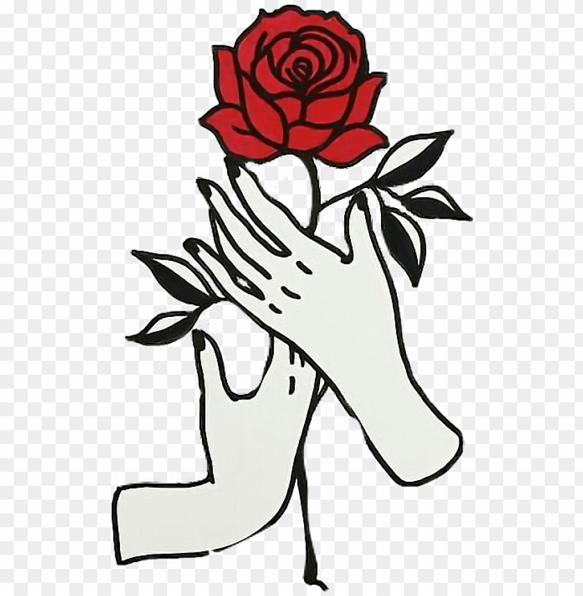 Report Abuse Roses Drawings Hands PNG Image With Transparent Background
