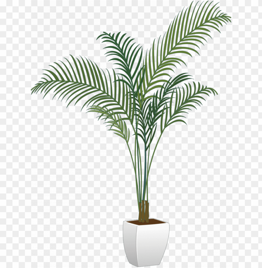 Tree Plants Flower Transparent Potted Plants PNG Image With Transparent Background