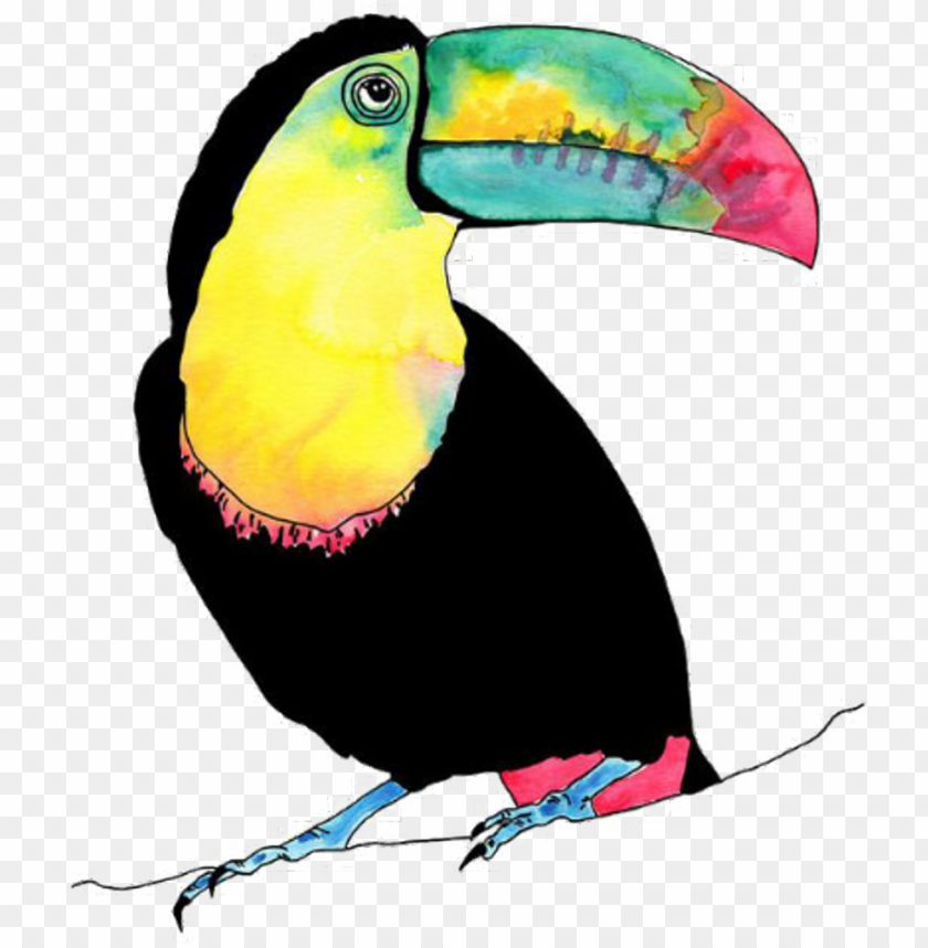 Tucan Bird Vogel Animal Birds Animals Petsandanimals Watercolour Tropical Birds PNG Image With Transparent Background
