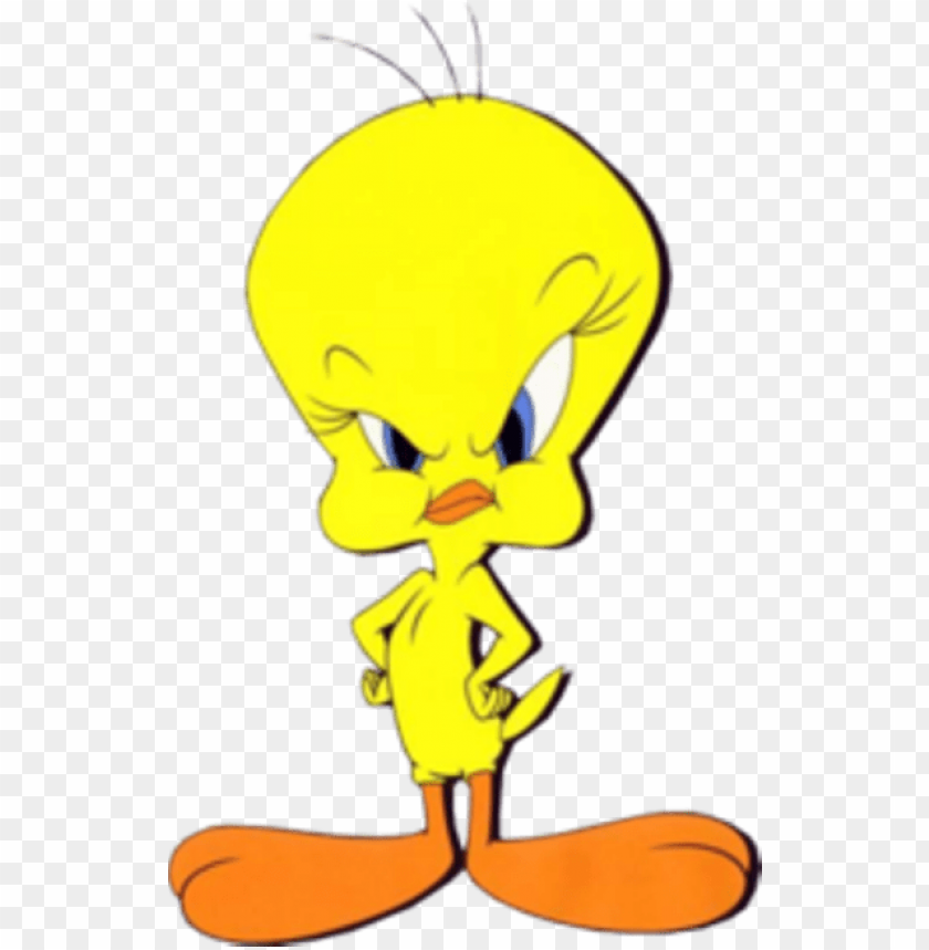 Tweety Looking Serious Tweety Angry PNG Image With Transparent Background