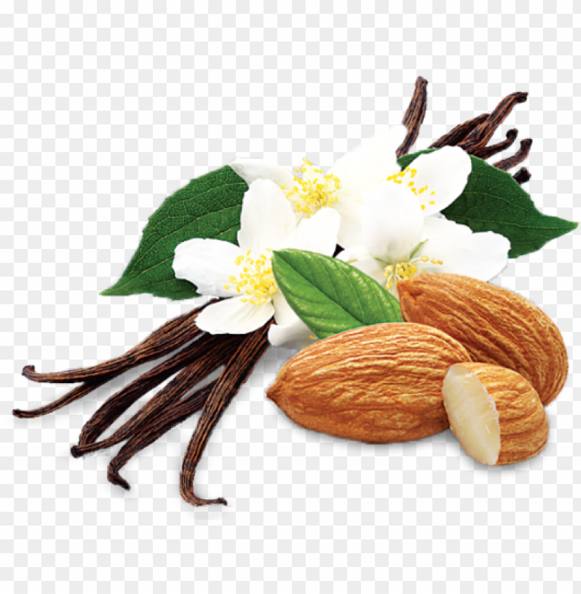 Vanilla Almond Crunch Umpqua Oats Vanilla Almond Crunch Super Premium Oatmeal PNG Image With Transparent Background