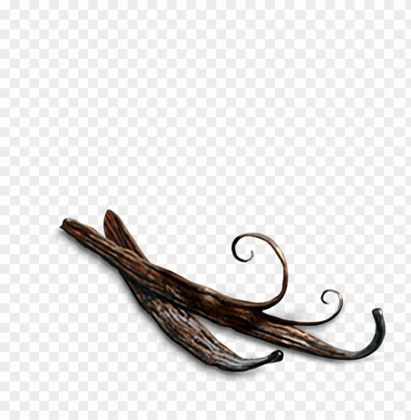 Vanilla Png PNG Image With Transparent Background